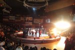 Арена владивостокского цирка увидела бои без правил