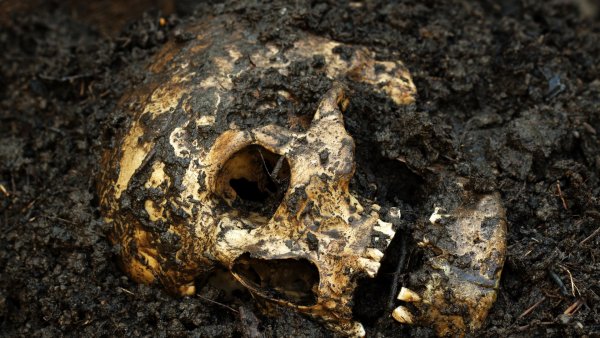Дачник нашел скелет бывшего мужа сожительницы, копая огород